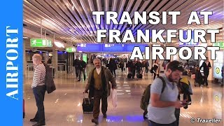 TRANSIT WALK AT FRANKFURT Airport FRA Terminal 1  Connection Flight Transfer Arriving amp Departing [upl. by Patrick]