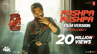 PUSHPA PUSHPA Telugu Film Version  Pushpa 2 The Rule  Allu Arjun  Sukumar  DSP [upl. by Nirag]