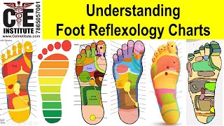 Understanding Foot Reflexology Charts Generally Accepted Reflex Points [upl. by Yrokcaz418]