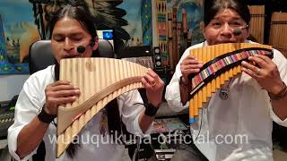 LIVE  Alomia Robles  El Condor Pasa  Panflute  Quena Instrumental  LIVE [upl. by Cecelia901]