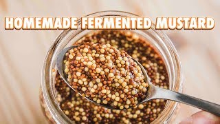 Easy Homemade Fermented Mustard [upl. by Collayer]