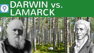 Darwin vs Lamarck  Evolutionstheorie von Lamarck und Darwin im Vergleich  Evolution 8 [upl. by Anwahsed]