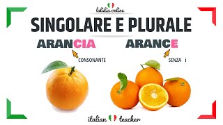 SINGOLARE e PLURALE  Easy Exercises  GRAMMAR  Italian for Beginners [upl. by Richer]