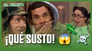 El Chavo del 8 La resortera [upl. by Nodnarg]