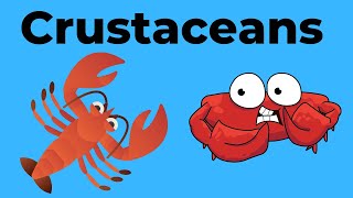 Characteristics of Crustaceans [upl. by Nosnej]