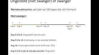 Ongesteld of zwanger [upl. by Jacqueline]