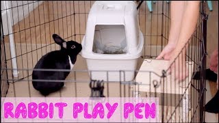 How To Set Up A Rabbit Play Pen [upl. by Nairb]