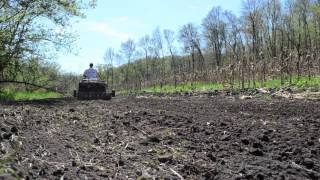 Deer Food Plots in Seven Easy Steps  Tractor Supply Co [upl. by Langham859]