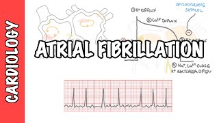 Atrial Fibrillation Overview  ECG types pathophysiology treatment complications [upl. by Rramal]