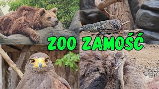 ZOO Zamość [upl. by Llyrad]