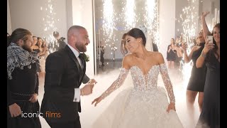 INCREDIBLE Lebanese Wedding Entry [upl. by Leahcir]