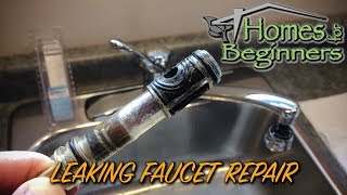 How to Repair a Leaking Moen Kitchen Faucet [upl. by Akenat]