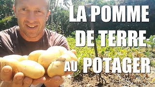 La POMME DE TERRE au potager [upl. by Deutsch]