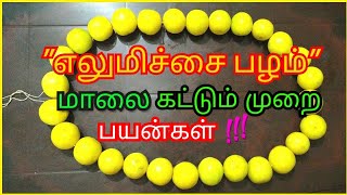 quotஎலுமிச்சை பழம்quot மாலை கட்டுவது எப்படி   பயன்கள் Lemon Garland making [upl. by Airtemed]