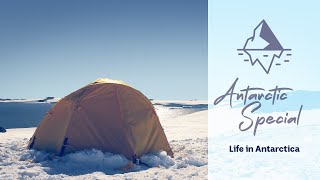 Life in Antarctica  Behind the News [upl. by Naharba]