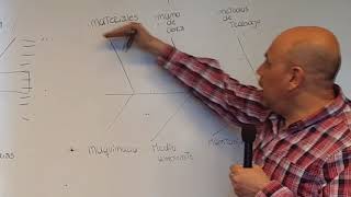 DIAGRAMA DE ISHIKAWA [upl. by Ednarb]