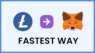 Easily Add Litecoin LTC To Metamask [upl. by Mehsah756]