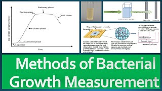 Growth Measurement Methods [upl. by Aicitan79]