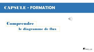 CAPSULE FORMATION DIAGRAMME DE FLUX [upl. by Annaihs782]