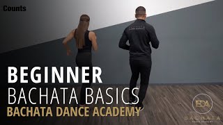 Bachata Beginner Basic Steps Tutorial  Demetrio amp Nicole  Bachata Dance Academy [upl. by Burnham]