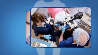 Endodontic Retreatment Explained [upl. by Ahsilyt]