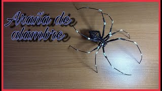 Araña de alambre [upl. by Aivataj509]