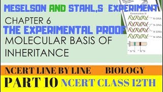 PART10 MESELSON AND STAHLS EXPERIMENT CHAPTER 6 NCERT CLASS 12TH BIOLOGY [upl. by Yralam]