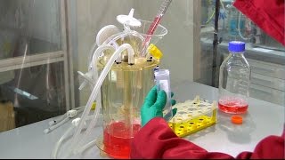 Part 4 Cell production at benchtop scale harvest and purification [upl. by Cressler]