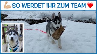 Hund erziehen ohne Leckerli [upl. by Yursa]