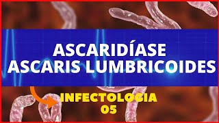 ASCARIDÍASE  ASCARIS LUMBRICOIDES LOMBRIGA  PARASITOLOGIA INFECTOLOGIA [upl. by Levenson]