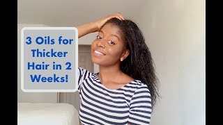 3 Oils to Get Thicker Hair Really Fast [upl. by Obediah]