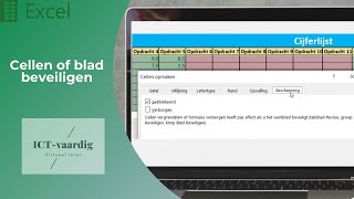 Excel  Cellen of blad beveiligen [upl. by Nrol]