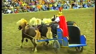 Landesgestüt Marbach  Hengstparade 1990 [upl. by Janela]