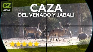 La caza del Venado y el Jabali  Cuidando la Caza [upl. by Siramay298]