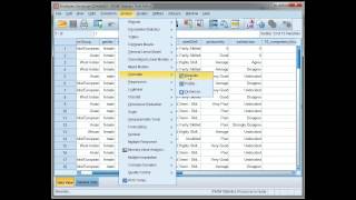 Compute correlations in SPSS Pearsons r [upl. by Acimak]