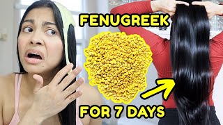 FENUGREEK for 7 days Grow the thickest hair ever before amp after results [upl. by Neral]