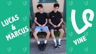 Lucas and Marcus NEW Vines 2016  Vine Compilation [upl. by Ibocaj]