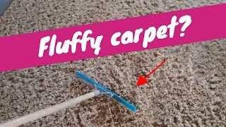 How to Fluff Carpet  Rendalls Cleaning [upl. by Steffy]