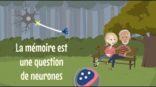 33  La mémoire est une question de neurones  Magistère mémorisation 28 [upl. by Nawd]