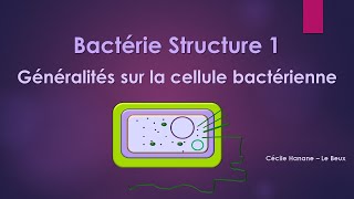 Bactérie Structure 1 BACTERIE [upl. by Ahsiele]