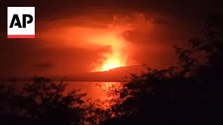 Galapagos volcano in Ecuador begins erupting [upl. by Muhcon964]